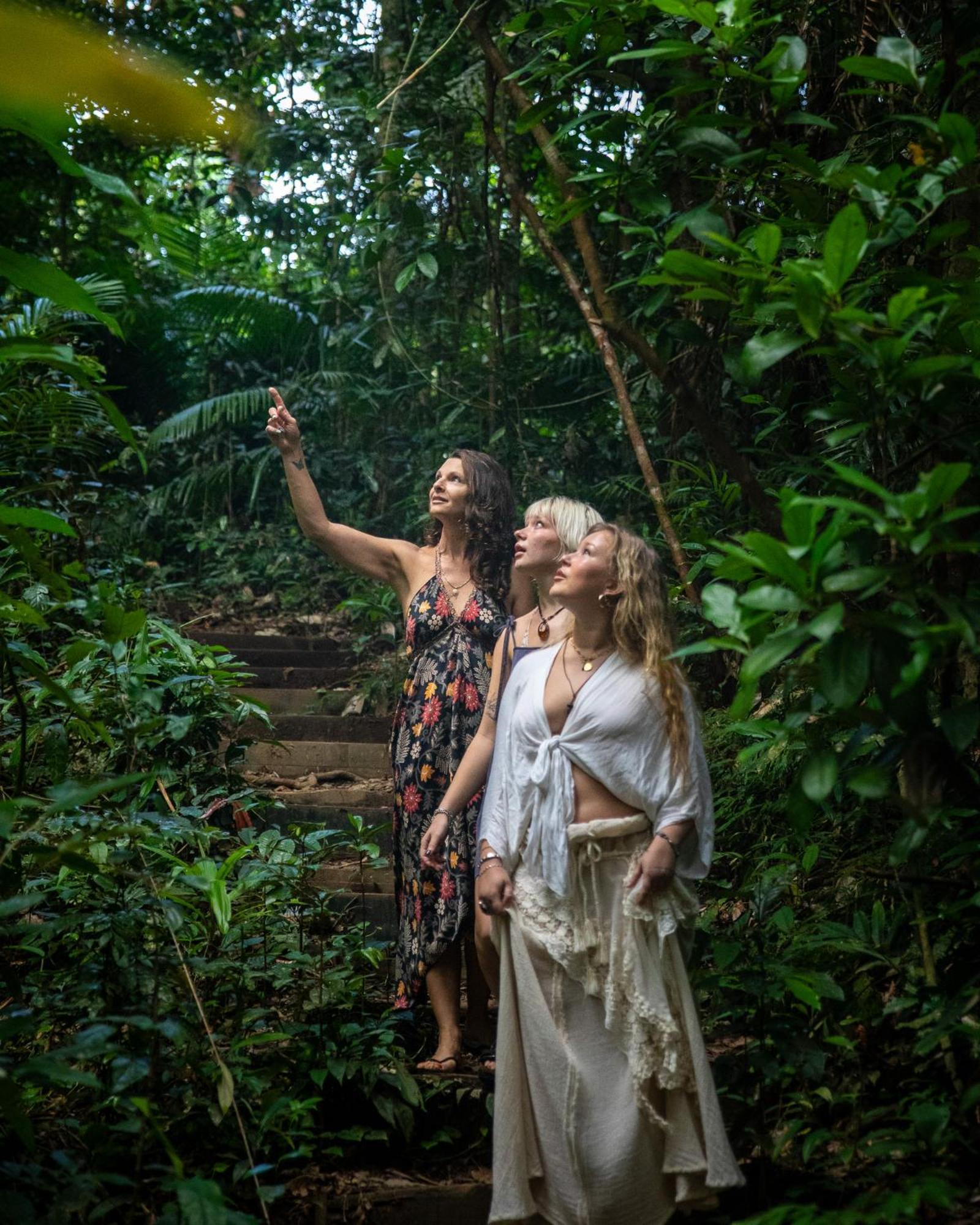 Heritage Lodge - In The Daintree Luaran gambar